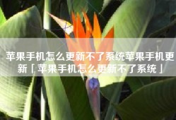 苹果手机怎么更新不了系统苹果手机更新「苹果手机怎么更新不了系统」